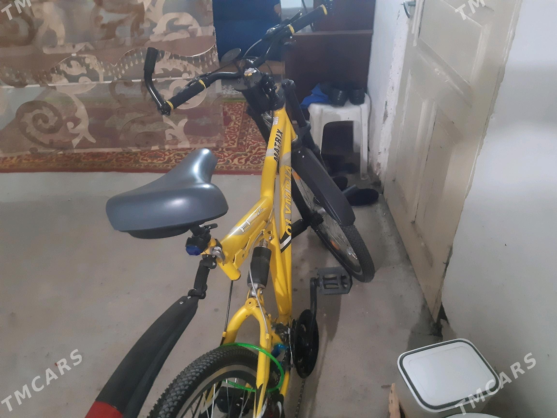 тигир олимпия - Aşgabat - img 5