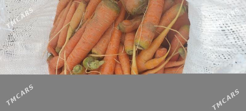 sygyrlara - Рухабат (90-й разьезд) - img 2