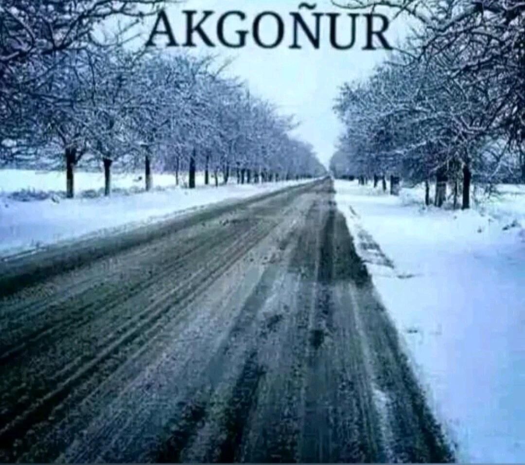 Jaýly mellek ýer - Гёкдепе - img 1