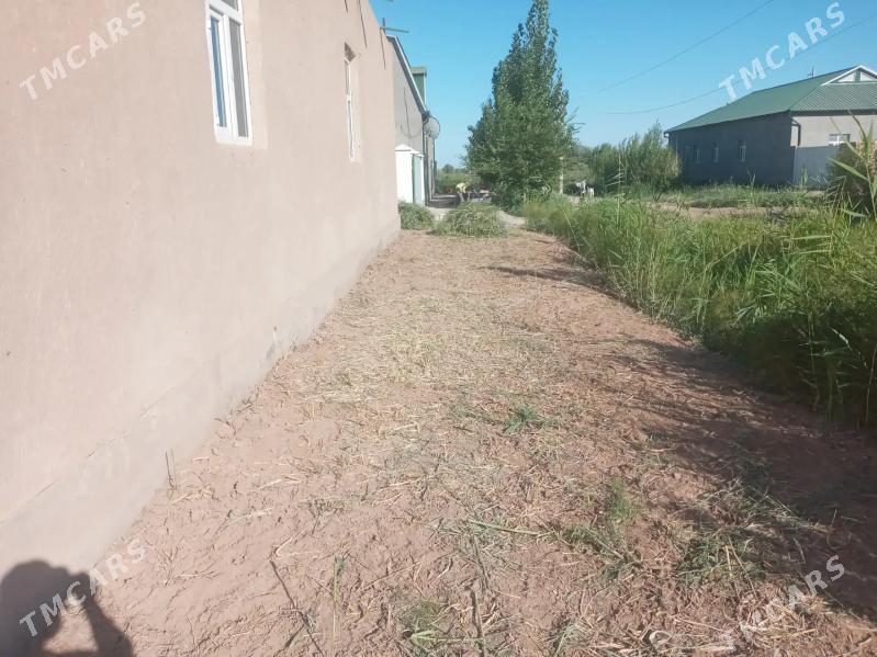 satlyk jay - Türkmenbaşy etr. - img 4