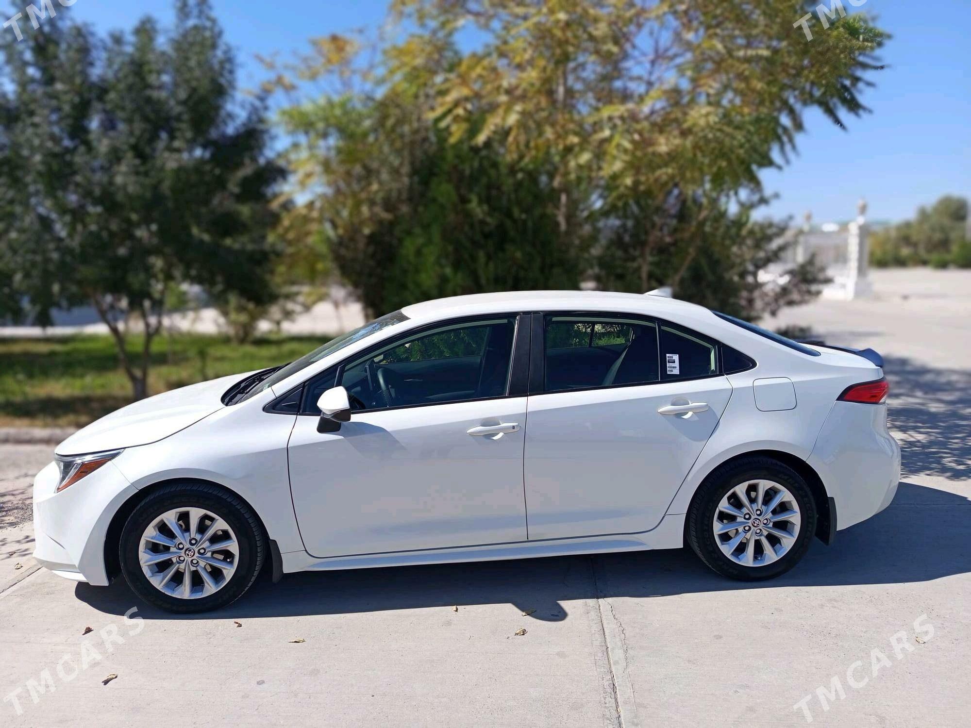 Toyota Corolla 2020 - 248 000 TMT - Daşoguz - img 1