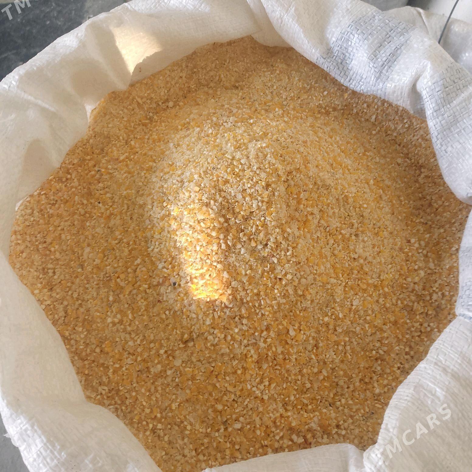 Arpa Mekge Kepek iým - Гёкдепе - img 2