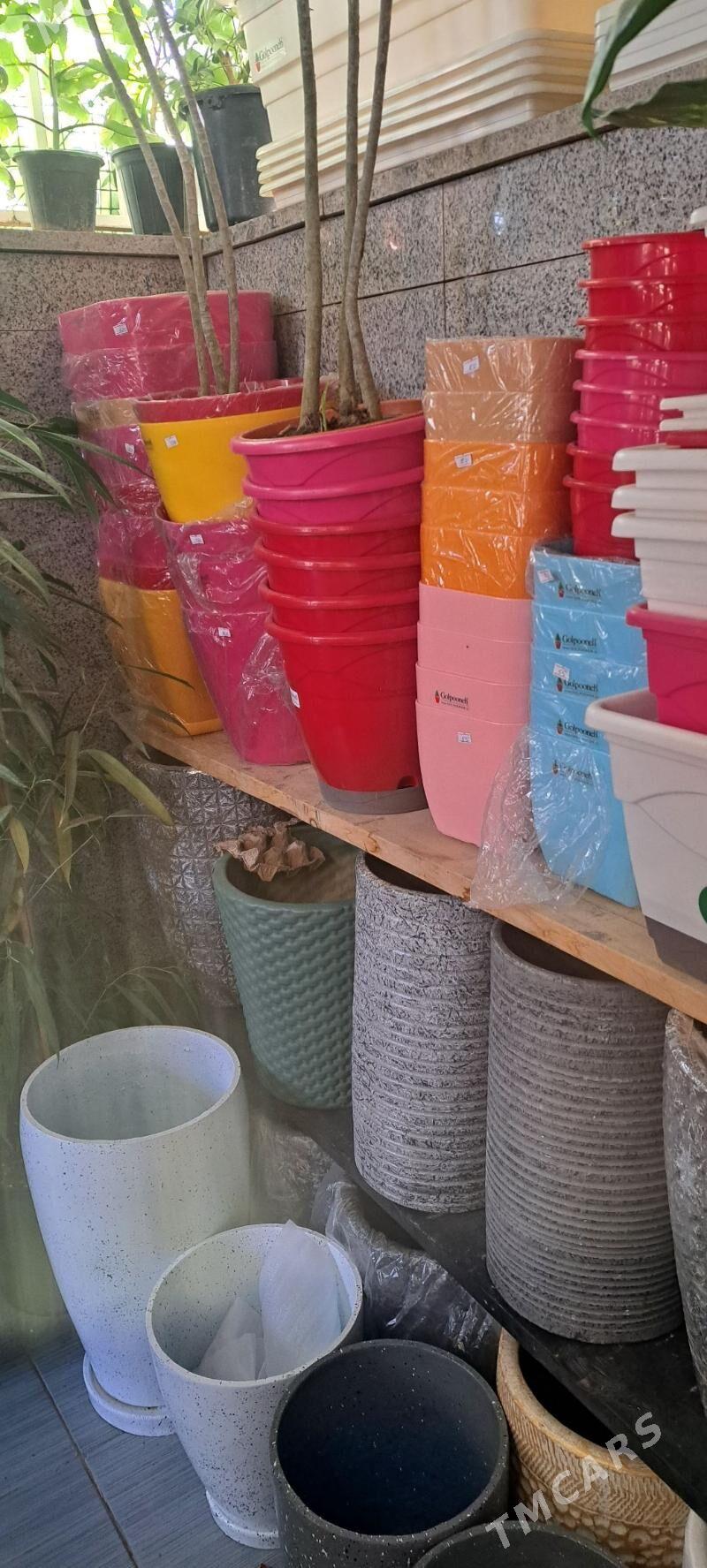 гранит горшки - Ашхабад - img 3