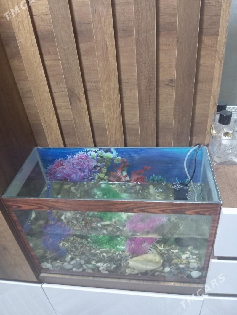 SATLYK 2 ET 3 KOM FUL - Мары - img 10