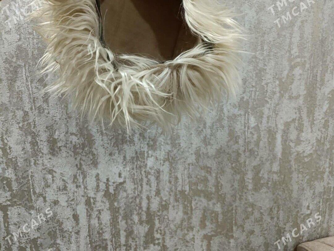 telpek - Balkanabat - img 4