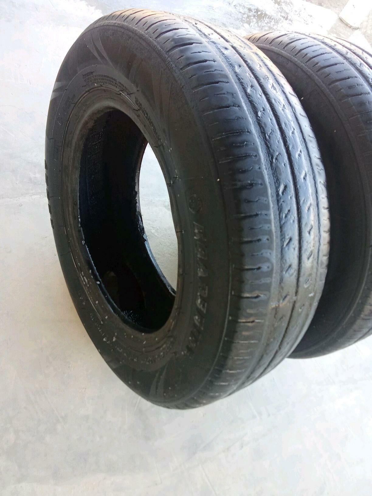 13 Ayak 250 TMT - Etrek - img 2