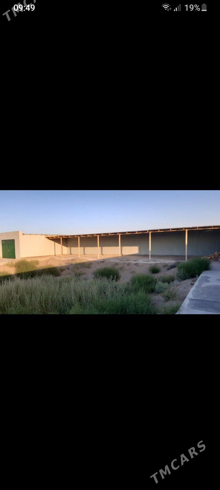 Satlyk jay - Шабатский этрап - img 7