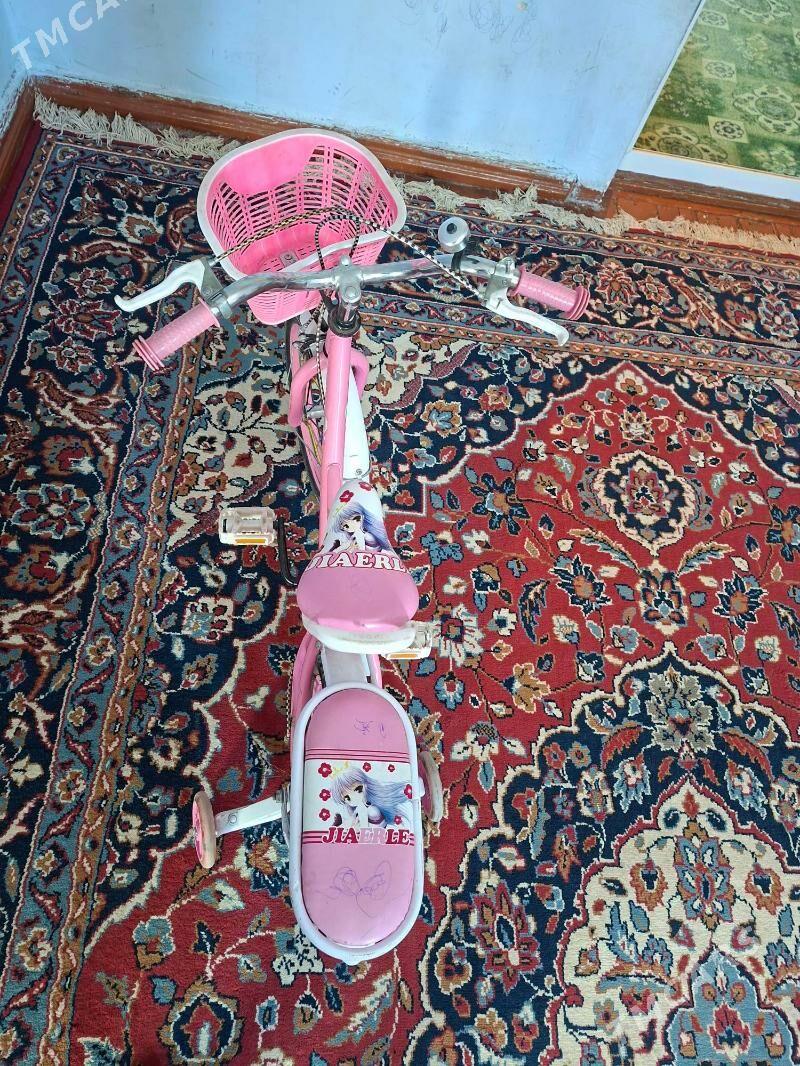 gyzjagazlaryn welsepedi - Balkanabat - img 1