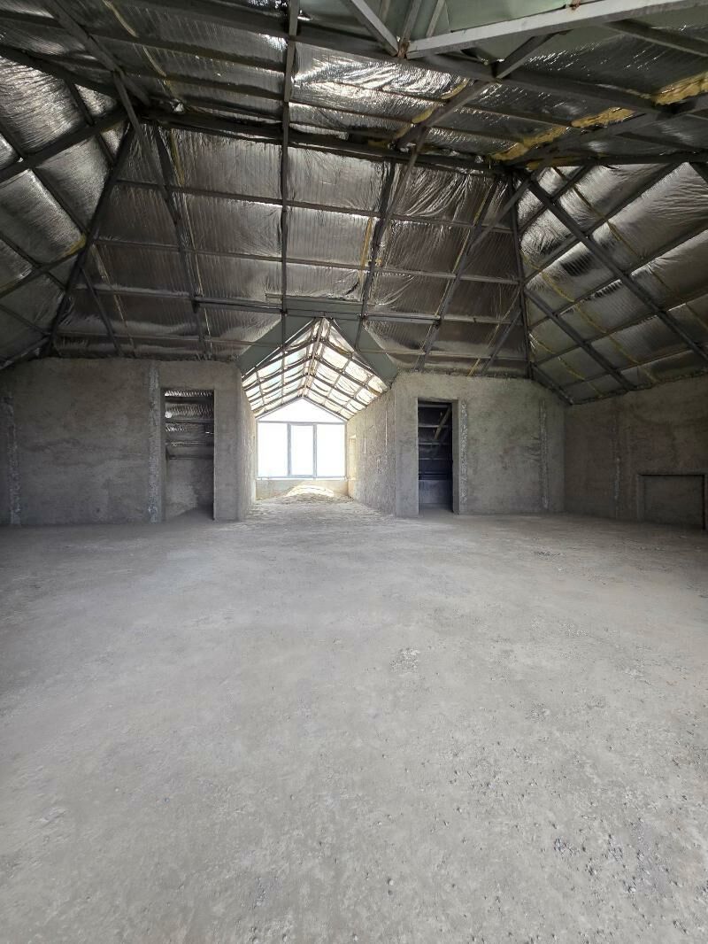 Ahal köçesi, Koteź - Анев - img 5