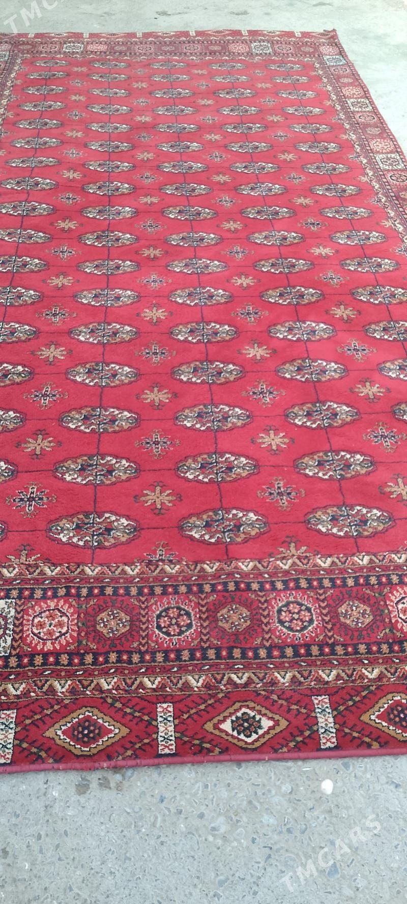 Haly - Ашхабад - img 1