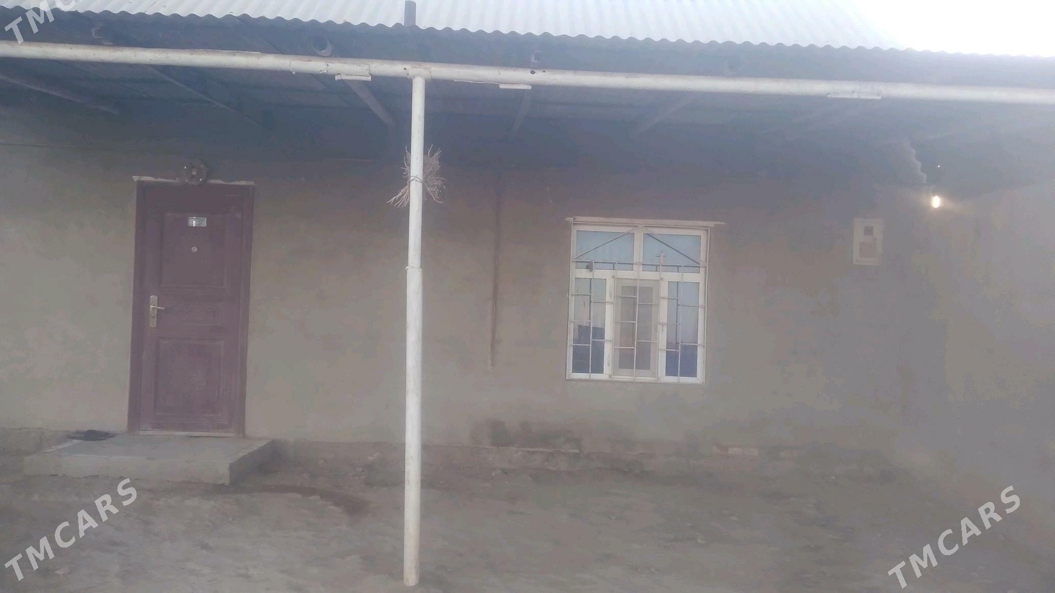 satlyk jay - Tejen - img 4