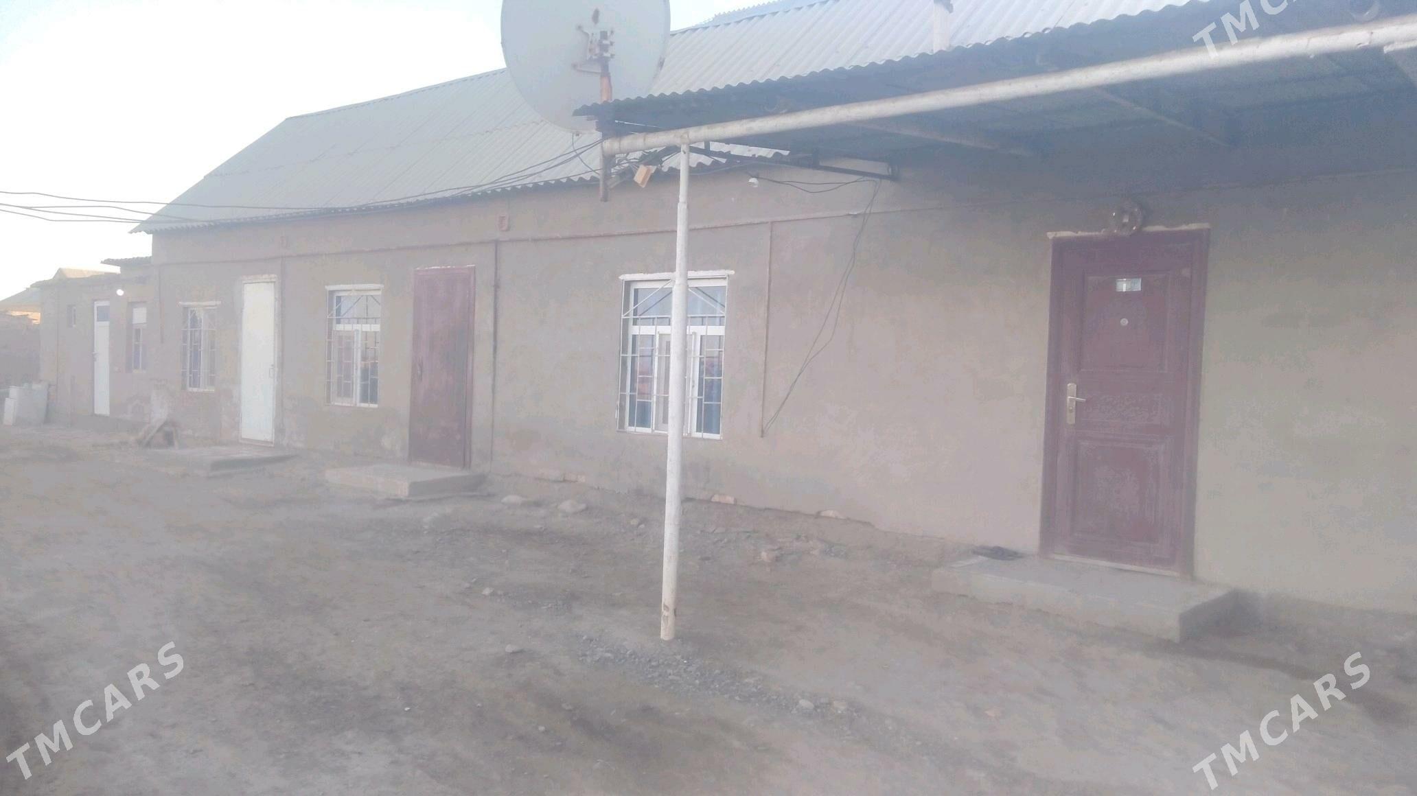 satlyk jay - Tejen - img 2