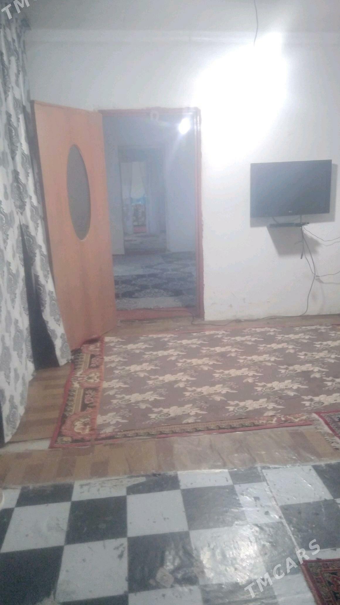 satlyk jay - Tejen - img 6