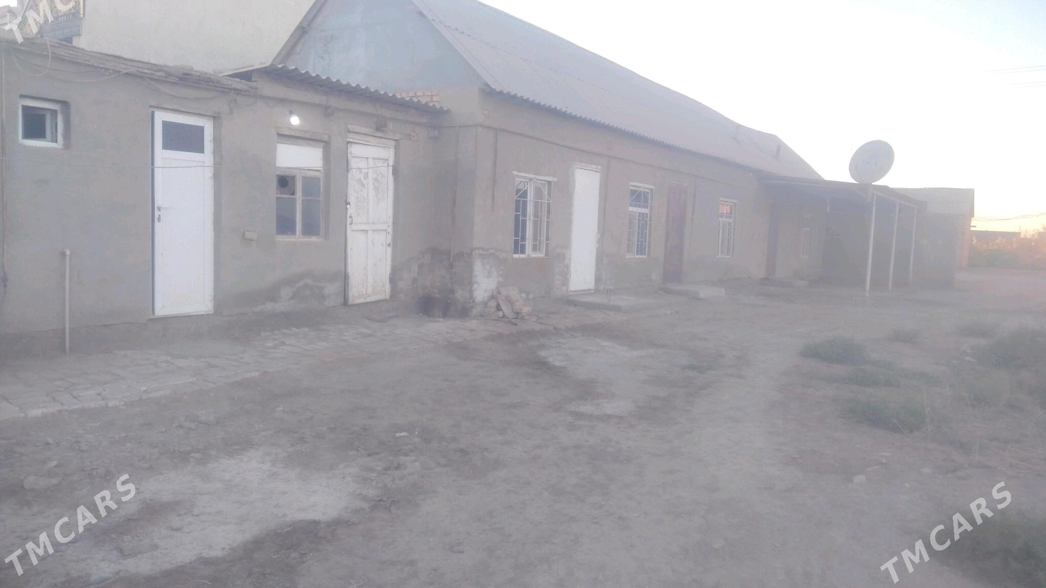 satlyk jay - Tejen - img 5