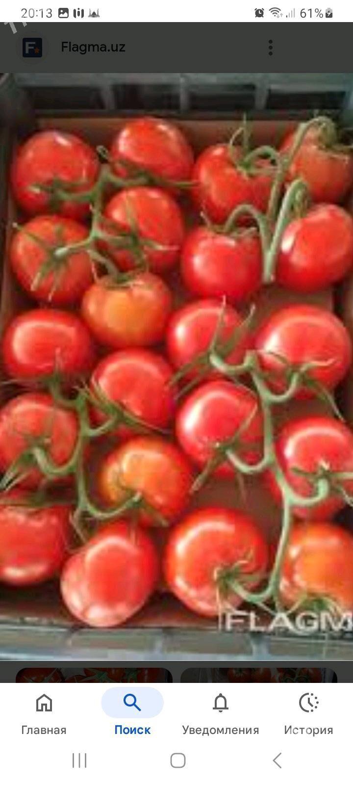 işgär gerek - Дашогуз - img 2