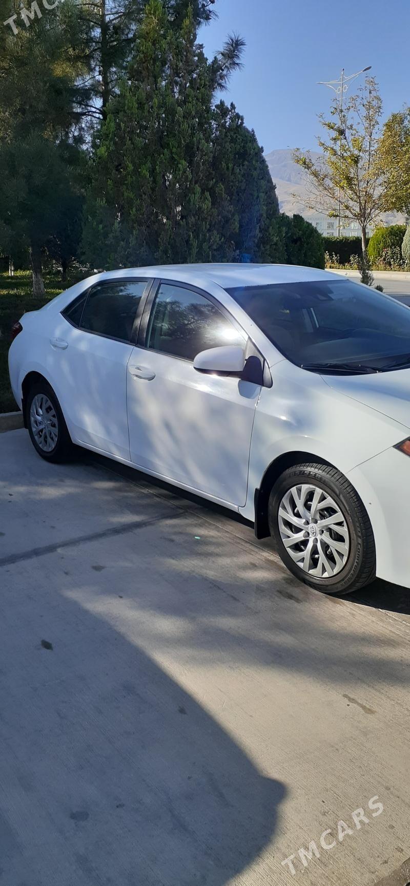 Toyota Corolla 2018 - 190 000 TMT - Багир - img 6