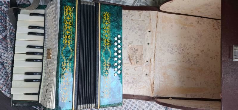 Пианино, Баян, Гармонь - Kim raýon - img 10