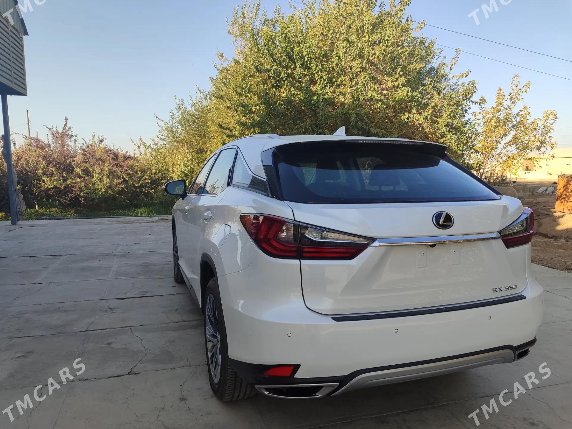 Lexus RX 350 2022 - 550 000 TMT - Мары - img 5