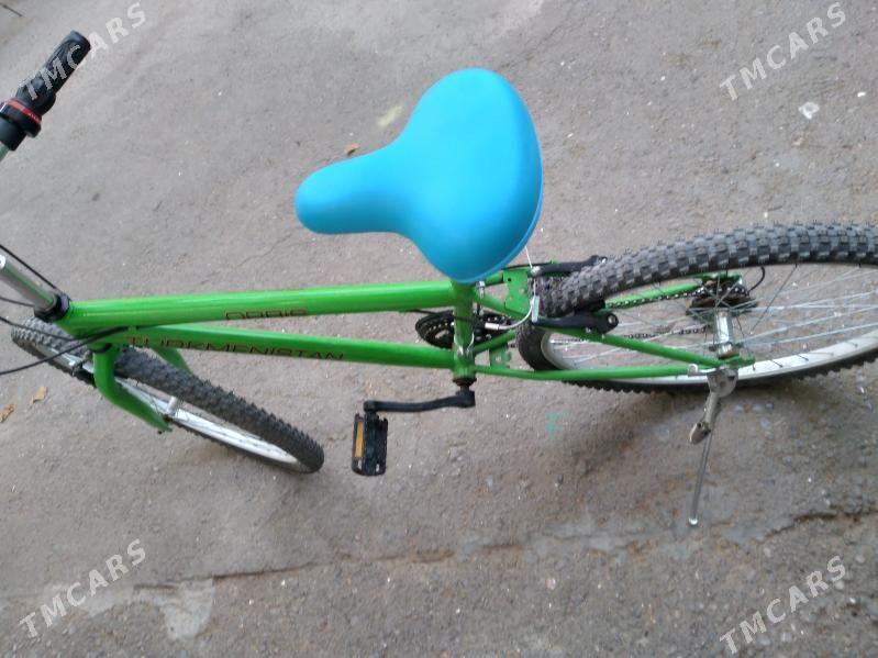 tigir turkmenistan TÎGÌR orbis - Бедев - img 2