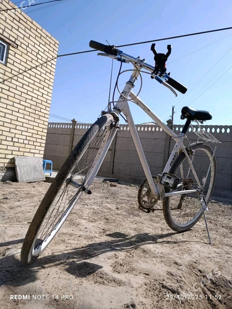 28 lik sportivni - Мары - img 5