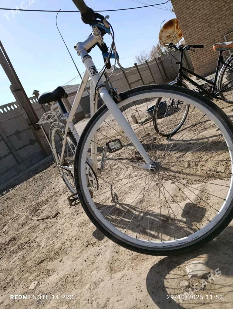 28 lik sportivni - Мары - img 4