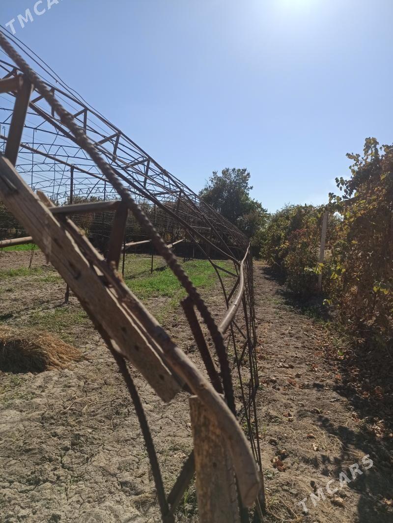 teplissa - Чарджоу - img 1