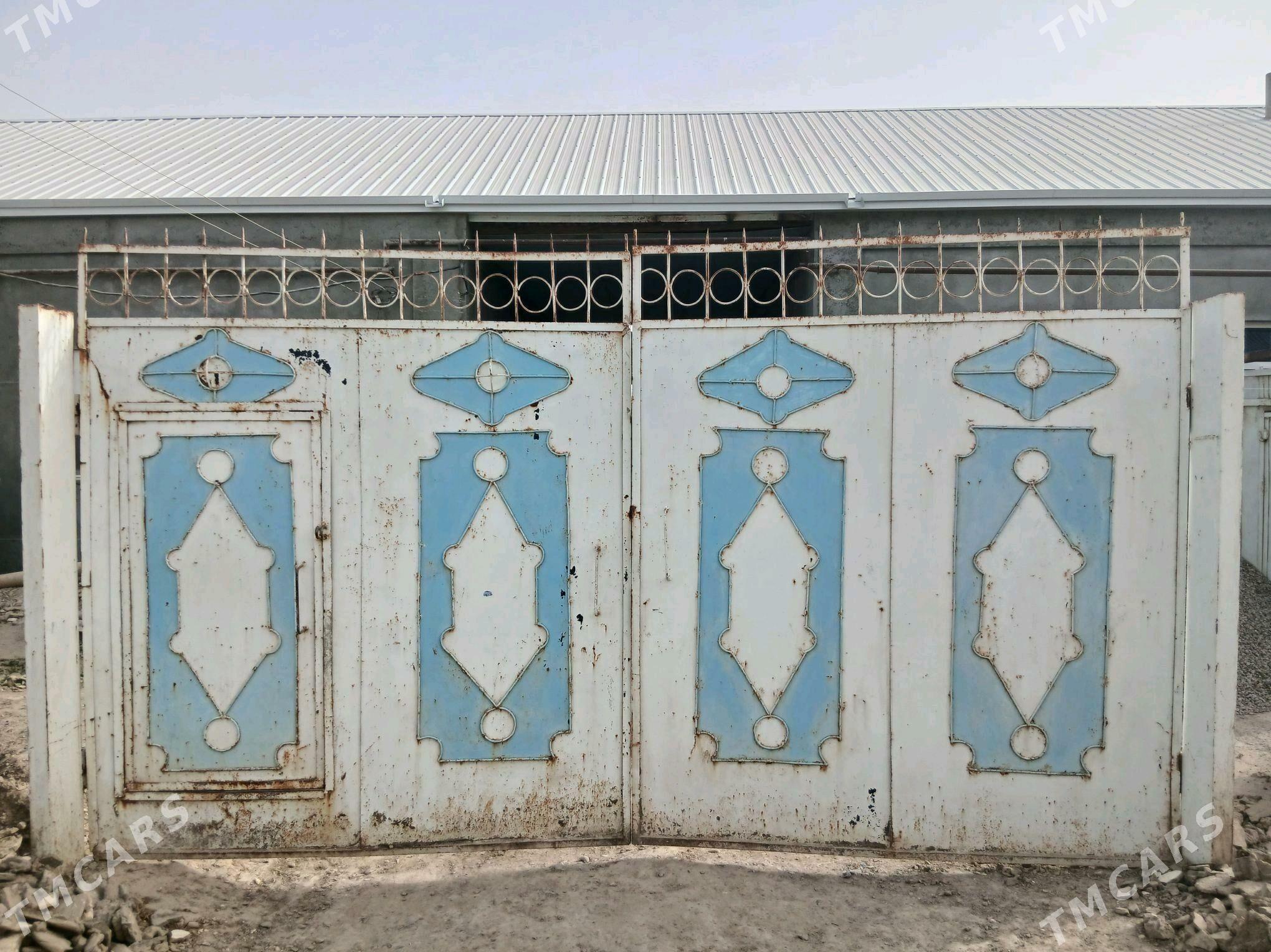 warotalar - Murgap - img 4