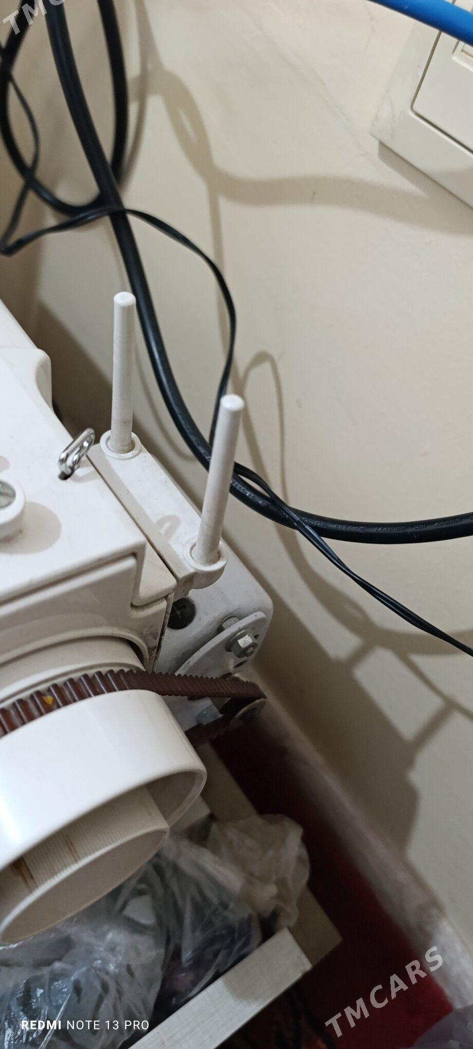 tikin masyn - Кëши - img 3