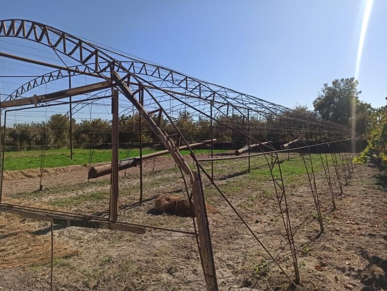 teplissa - Чарджоу - img 2