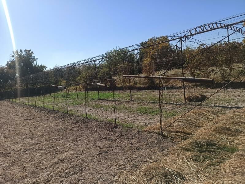 teplissa - Чарджоу - img 3