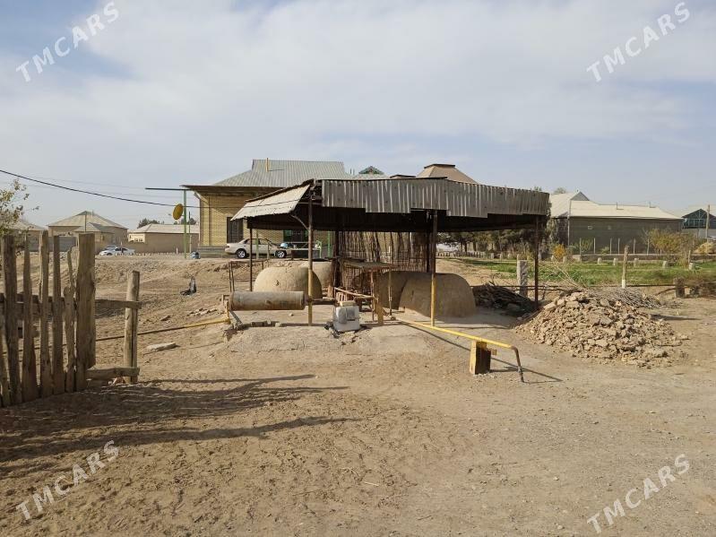 çörek sehi,boş pameşinýe - Sakarçäge - img 1