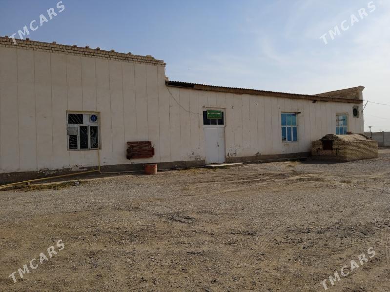 çörek sehi,boş pameşinýe - Sakarçäge - img 3