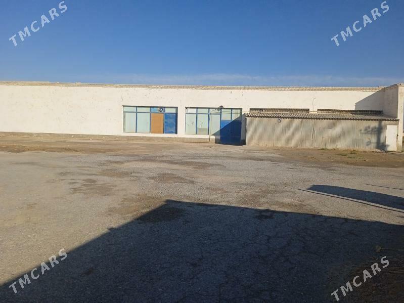 çörek sehi,boş pameşinýe - Sakarçäge - img 4