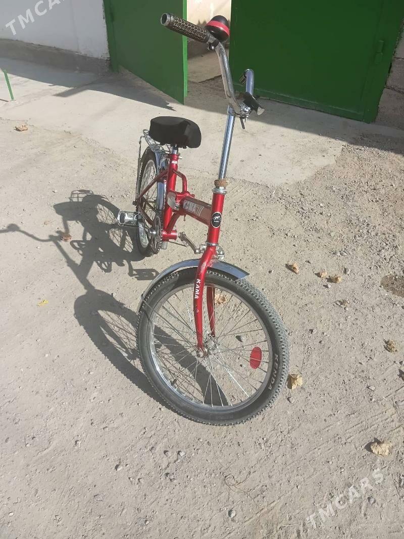 kama tigir - Bedew - img 2