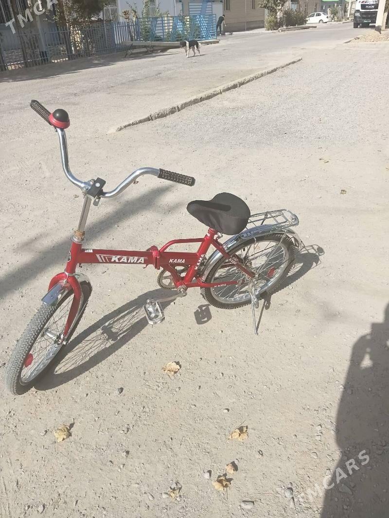 kama tigir - Bedew - img 1