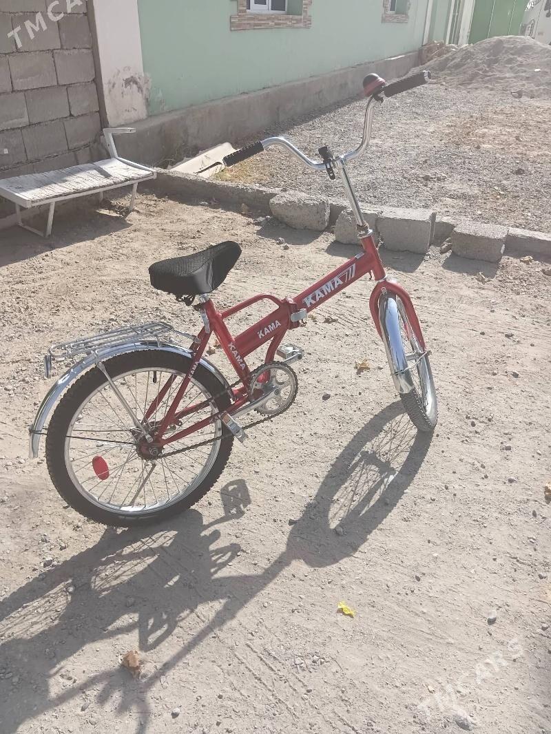 kama tigir - Bedew - img 3