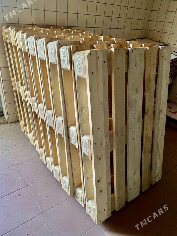 Paddon  Ýewro - Aşgabat - img 2