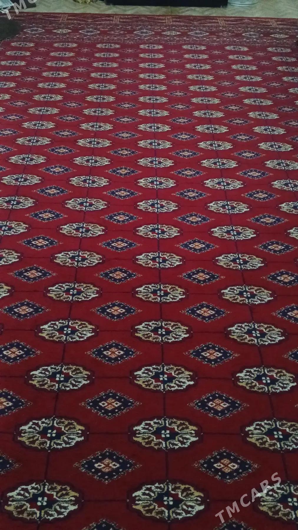 haly, халы кавер - Baýramaly - img 2