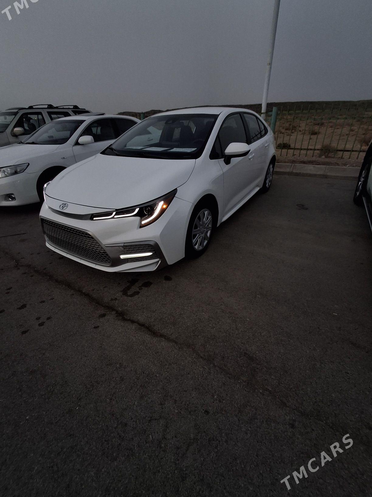 Toyota Corolla 2020 - 226 000 TMT - Ашхабад - img 3