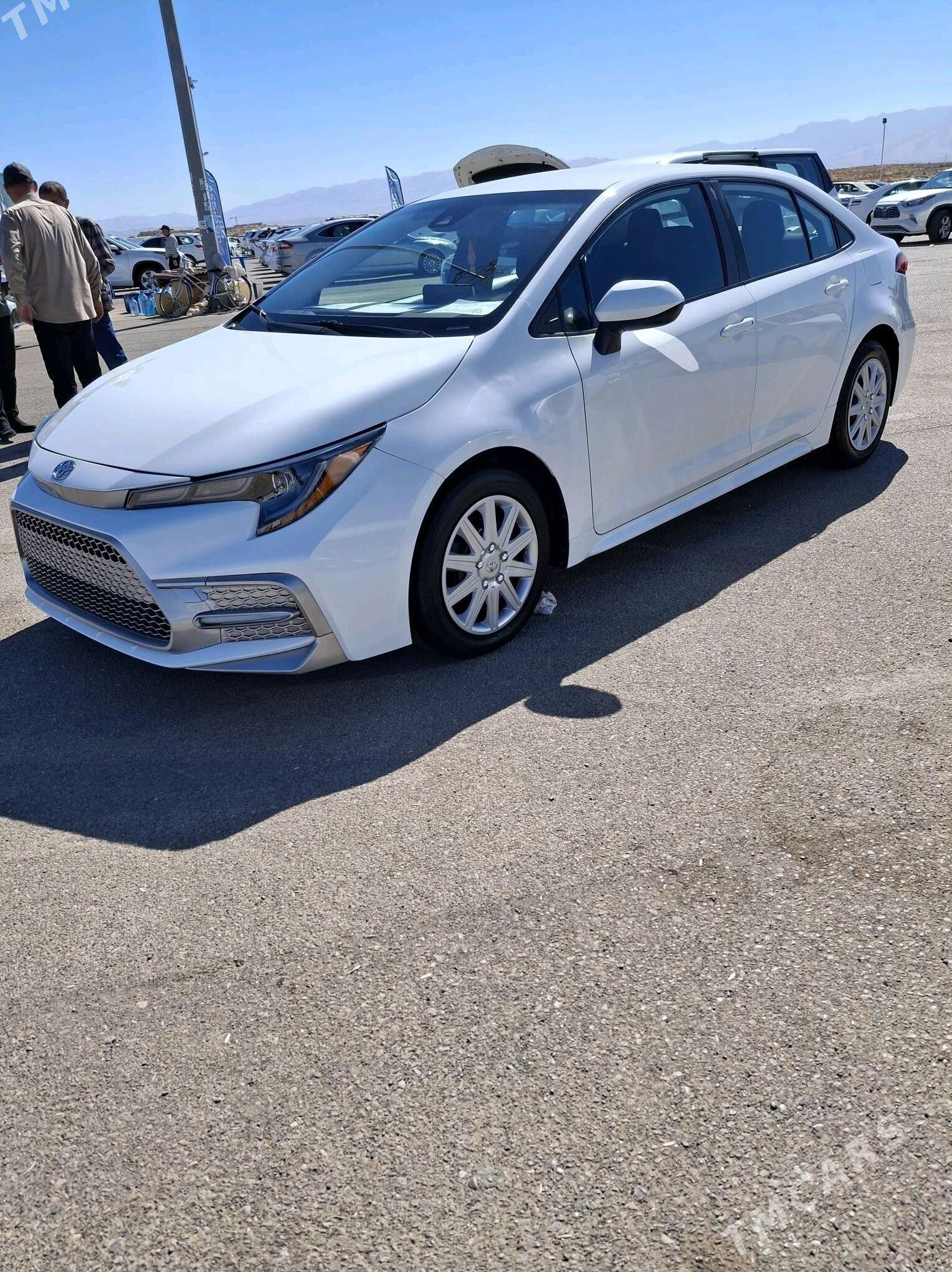 Toyota Corolla 2020 - 226 000 TMT - Ашхабад - img 6