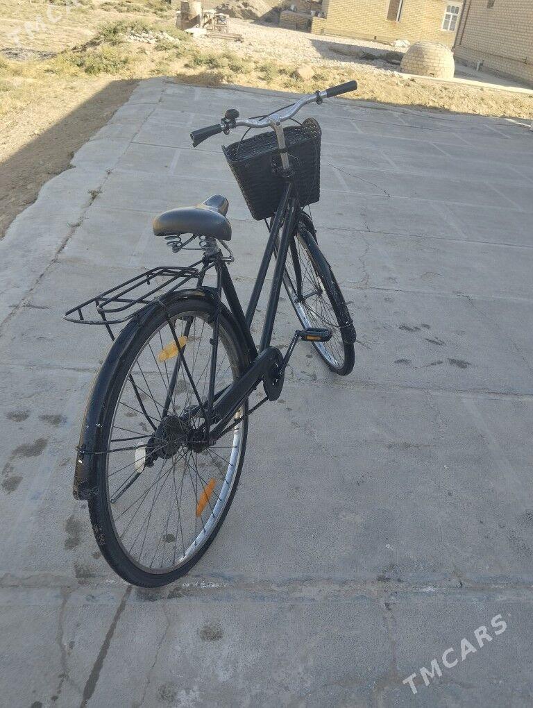 welik tiger 28 - Mary - img 2