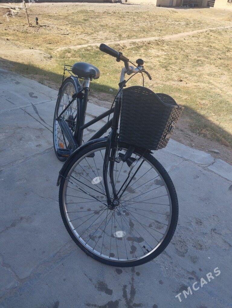 welik tiger 28 - Mary - img 3