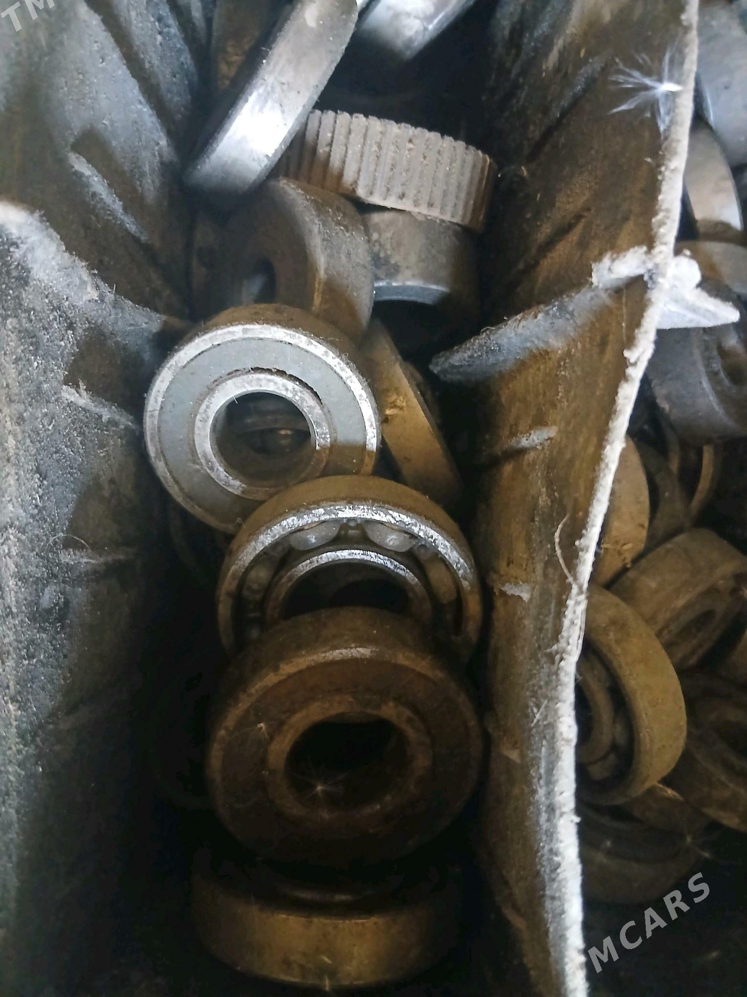 paşşipnik - Яшлык - img 1