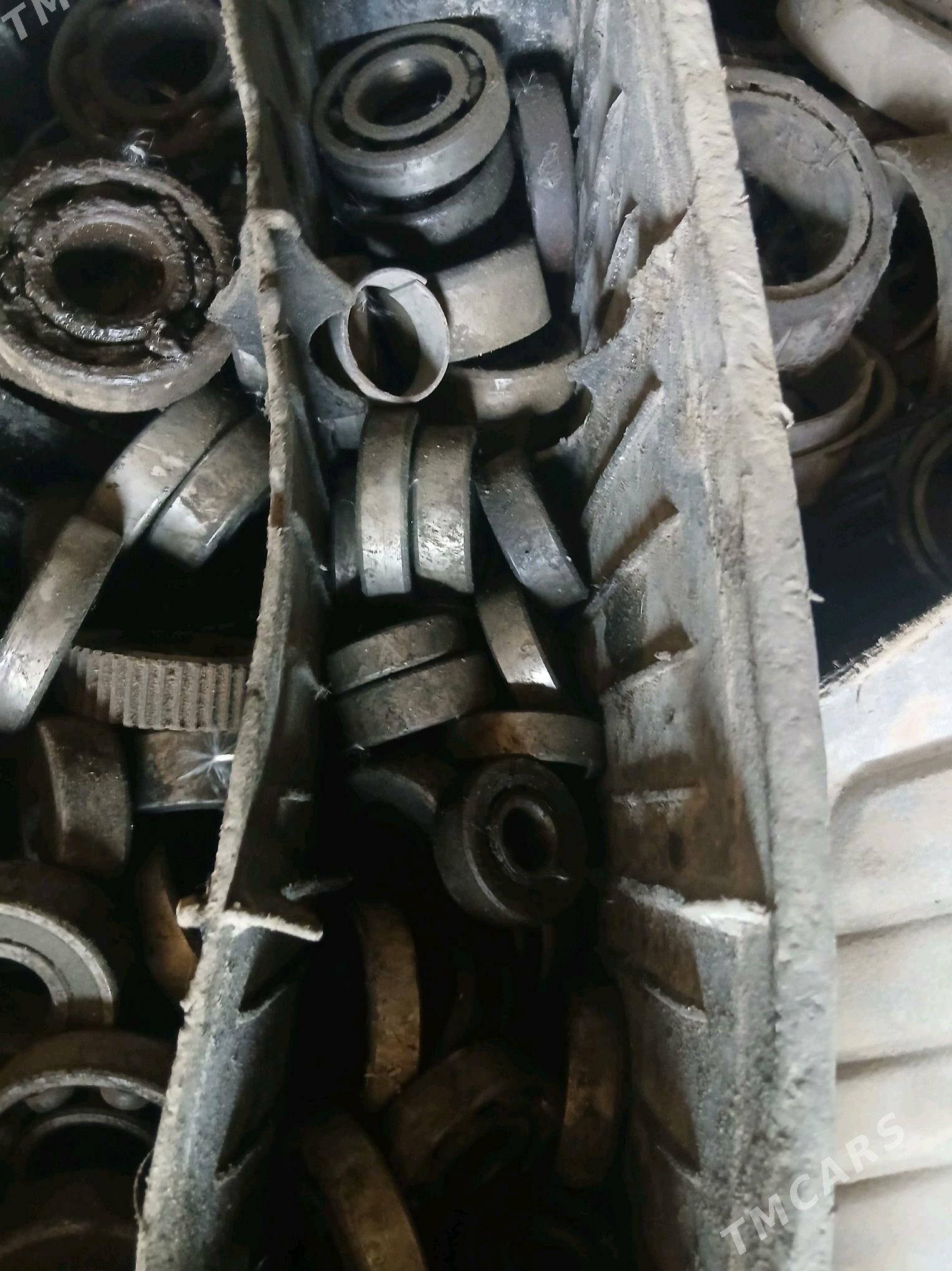 paşşipnik - Яшлык - img 2