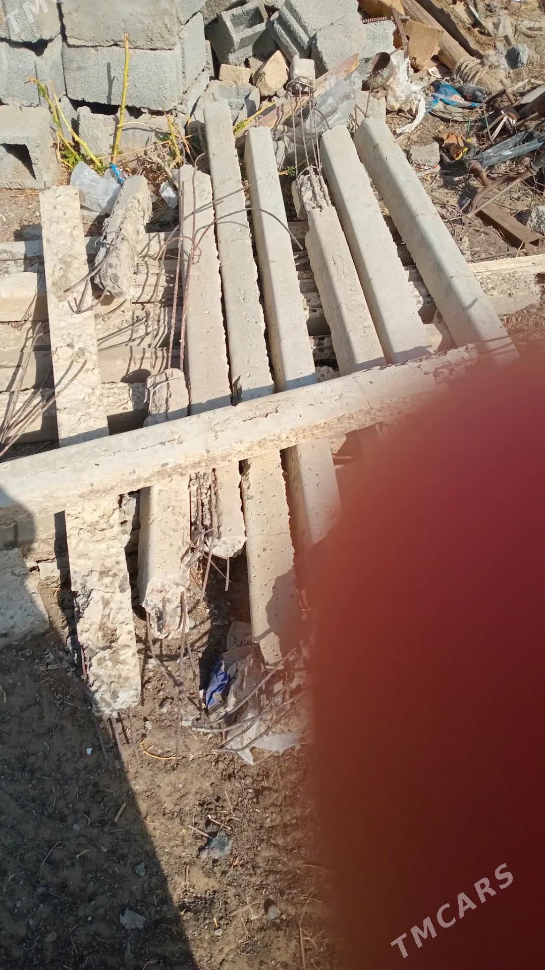 Ağaç - Aşgabat - img 3