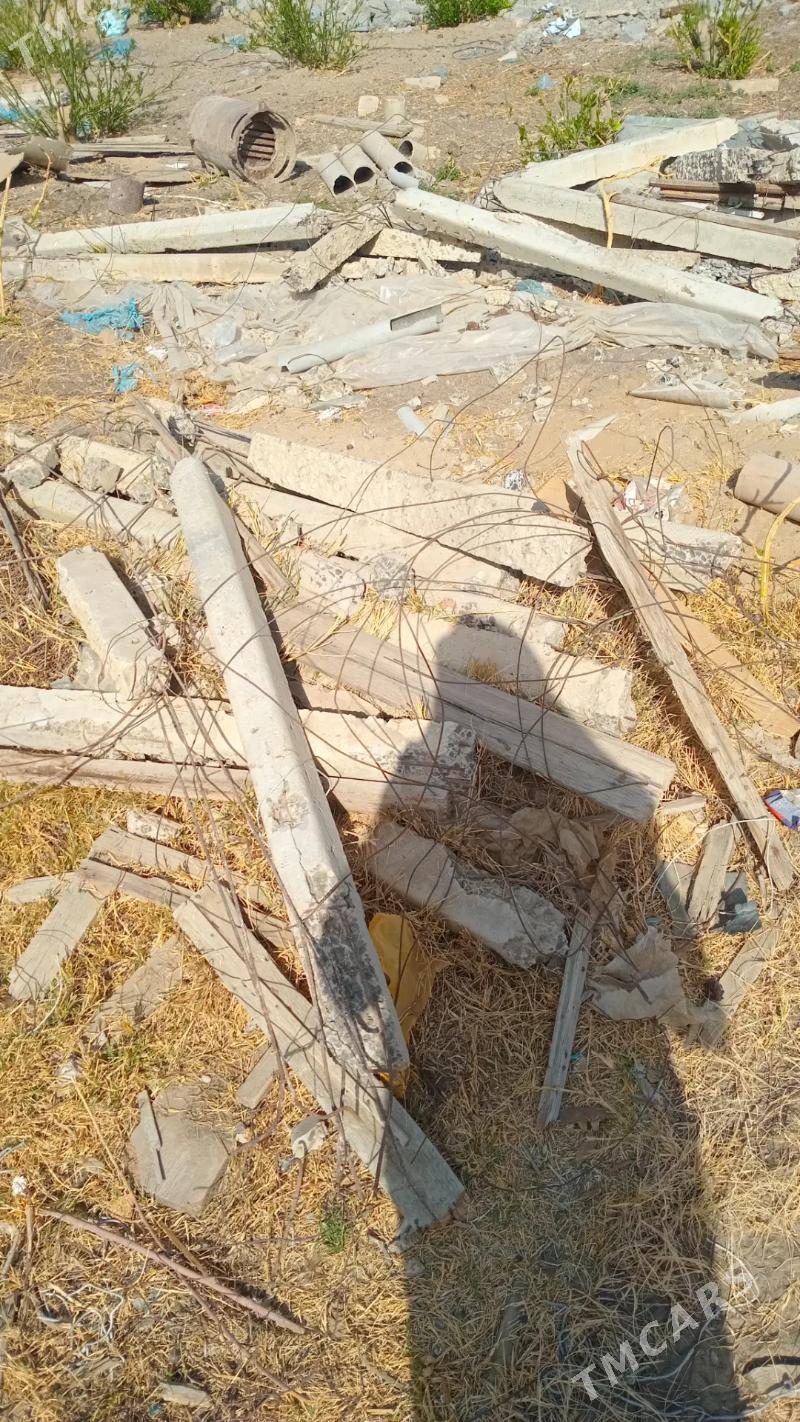 Ağaç - Aşgabat - img 4