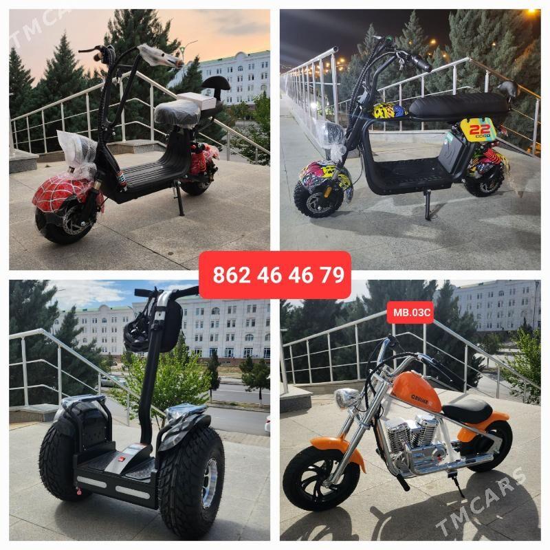 TIGIR HADINOK MATOR PARTA STOL - Köşi - img 8