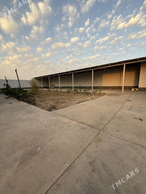 жай jay - Дашогуз - img 6