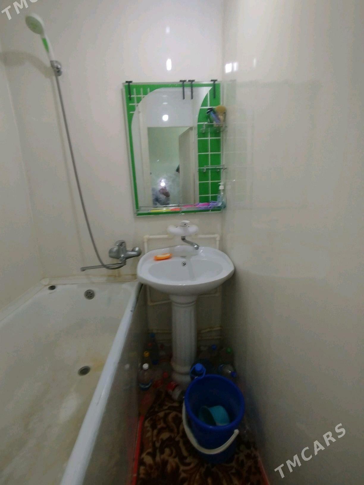 Satlyk jay - Mary - img 6