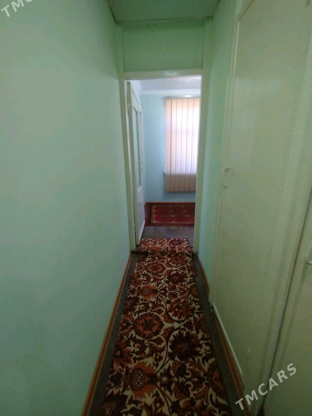 Satlyk jay - Mary - img 3